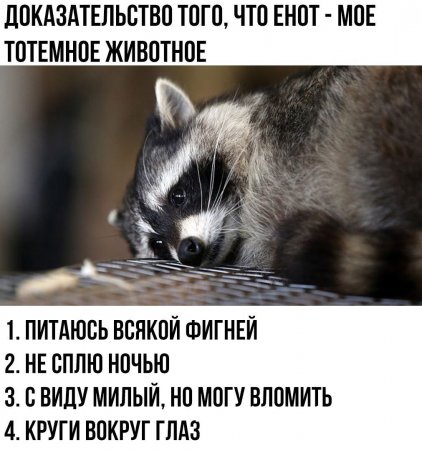 wCi0gFjECmM.jpg
