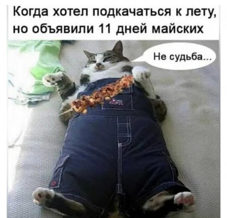 IMG_20210428_023525.jpg