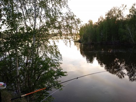 IMG_20210519_211536.jpg