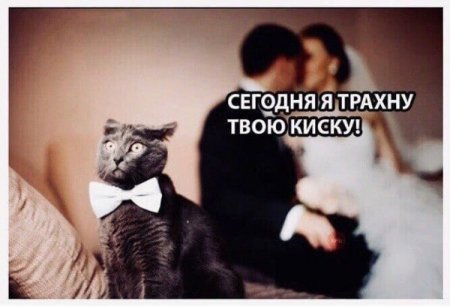 1624991785971.jpg