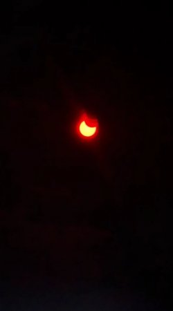 20210610_165725.jpg
