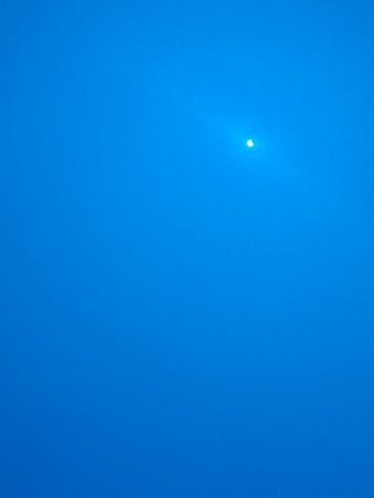 IMG_20210610_160525.jpg