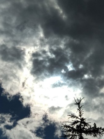 IMG_20210610_163713.jpg