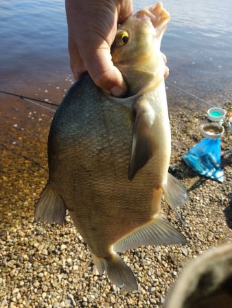 IMG_20210614_100148.jpg