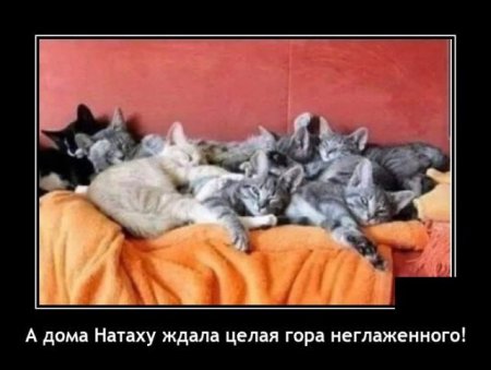 1.thumb.jpg.a13db800d6d93cf41288c7b100a5eac3.jpg