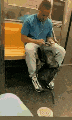 45e72c60_resizedScaled_740to1228.gif.44554b7b7690d63101b174f3e4fb6088.gif