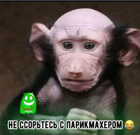 680398426_.thumb.jpg.92f3b30f8d15b9062a3d775f79f284ca.jpg
