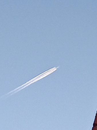 IMG_20211010_105346_333.jpg