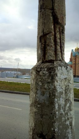 IMG_20211020_160513.jpg