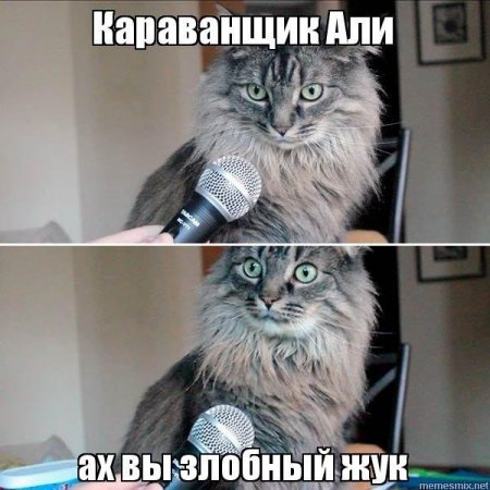 image.thumb.jpeg.00457a4634ecc4ffb43a7ae8f722c604.jpeg
