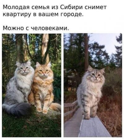 0MgPLlJHLmI.jpg