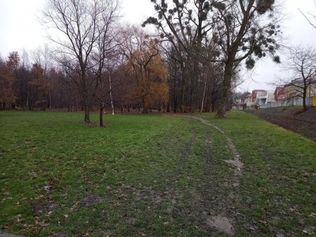IMG_20211127_131213.jpg