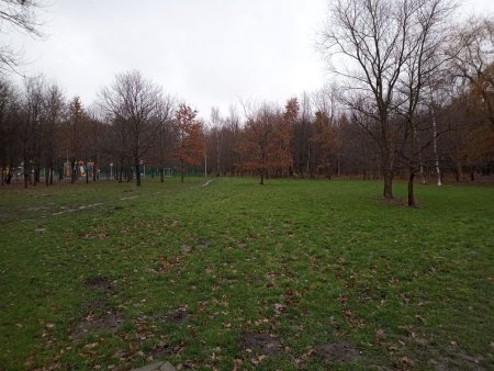 IMG_20211127_131221.jpg