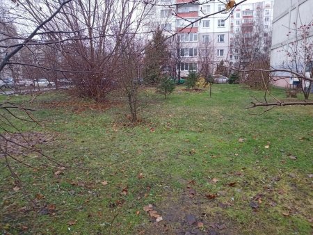 IMG_20211127_133931.jpg