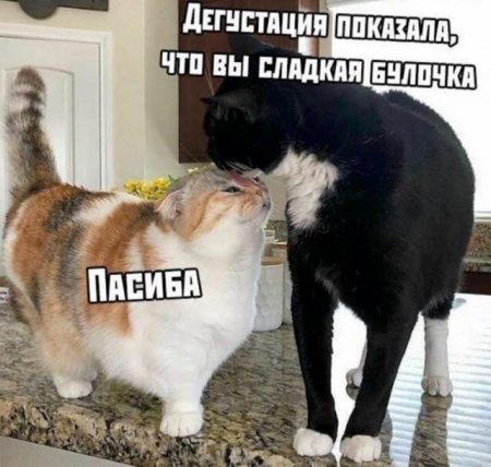 image.thumb.png.3c5cda6c62ceb8251eabbbca24e51472.png
