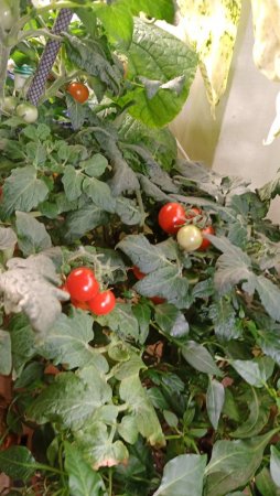 IMG_20220111_182128_595.jpg