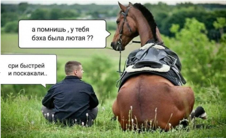 12.03.png