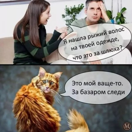 image_previw.jpg