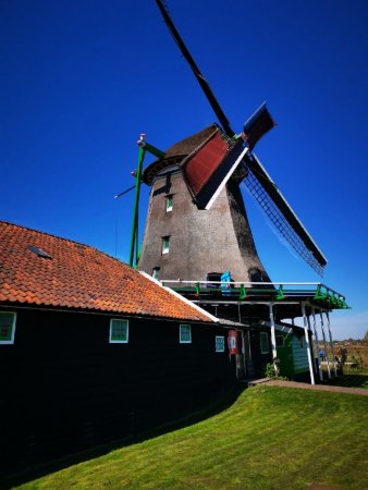 IMG_20220420_122402_resize_44.jpg
