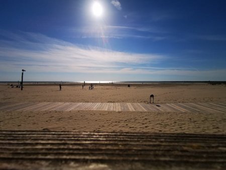 IMG_20220420_165605_resize_68.jpg