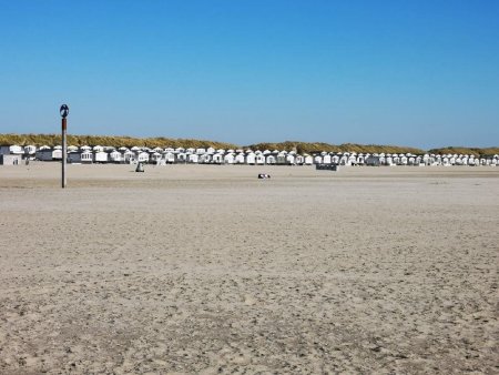IMG_20220420_172809_resize_7.jpg