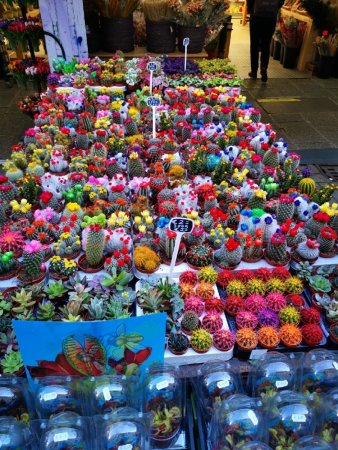 IMG_20220421_120635_resize_22.jpg
