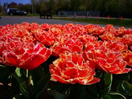 IMG_20220422_125706_resize_35.jpg
