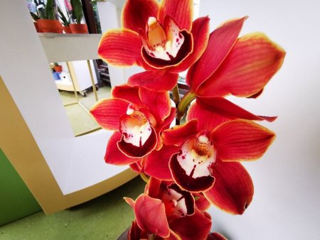 IMG_20220422_134845_resize_64.jpg