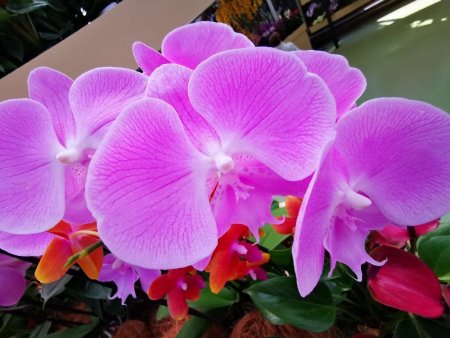 IMG_20220422_134914_resize_30.jpg