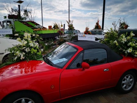 IMG_20220422_164610_resize_38.jpg