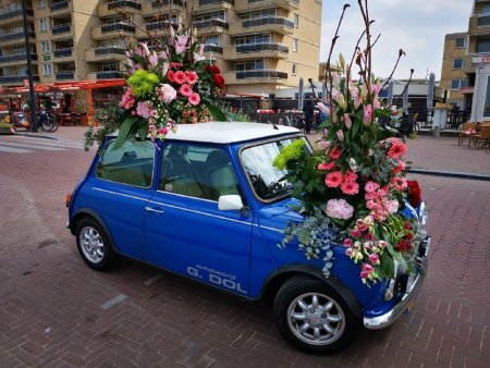 IMG_20220423_130253_resize_99.jpg
