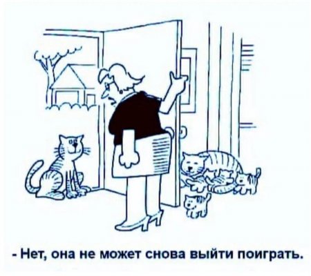 image_preview.jpg