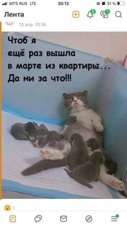 image_previw.jpg