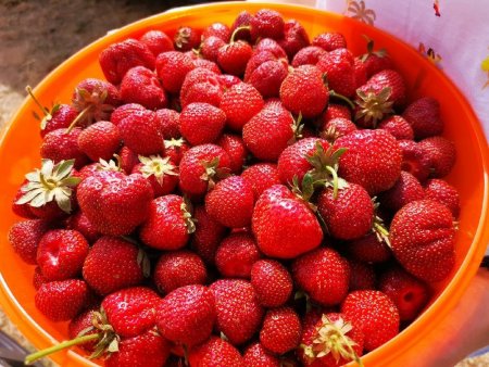 IMG_20220617_163235_resize_78.jpg