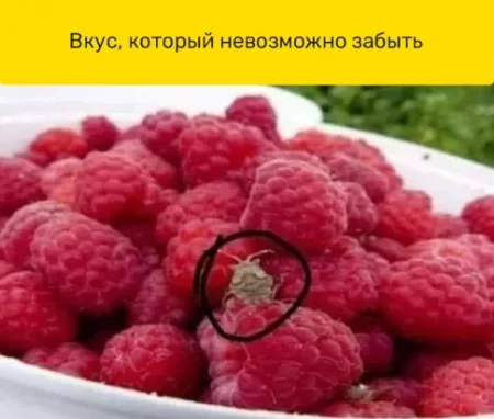 1.jpeg