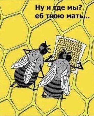 image_preview.jpg