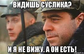 image.jpeg.22cd7951d59c1b2591a3e59c3bac2ba8.jpeg