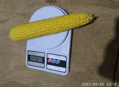 727808715_.thumb.jpg.d071df5c8cc73c5da1379ba64c7e4e8d.jpg
