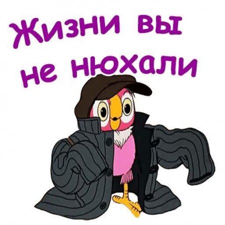 1666454715751.thumb.jpg.8b325d95ff8e3291d249539c53d357b7.jpg