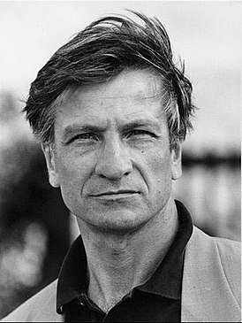 274px-Vittorio_Mezzogiorno_1989.jpg.69c8f8cc215866820c8573fd6d47a778.jpg