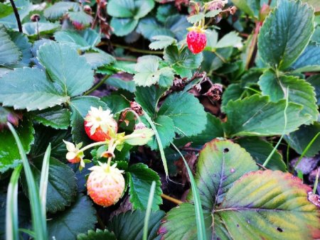 IMG_20221018_181025_resize_29.jpg