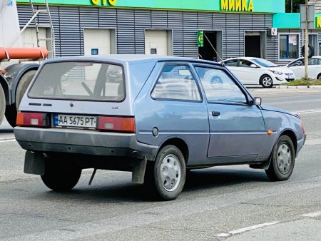 15198419.jpg