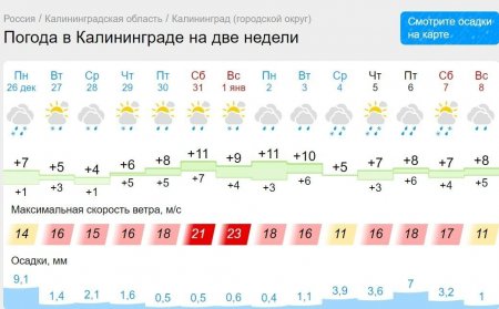 Скриншот.jpg