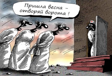 психи.jpg