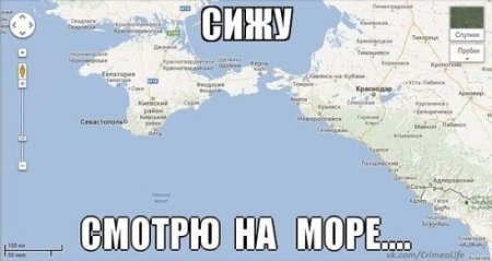 i.jpg