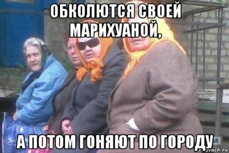 babki_244703282_orig_.jpg