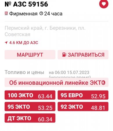 15июль лук.jpg