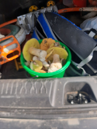 image.thumb.png.9a79d08702cc084406fed4b8a8e4beee.png
