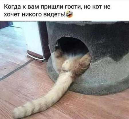 i (1).jpeg