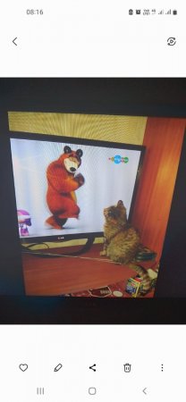 Screenshot_20230929-081640_Gallery.jpg